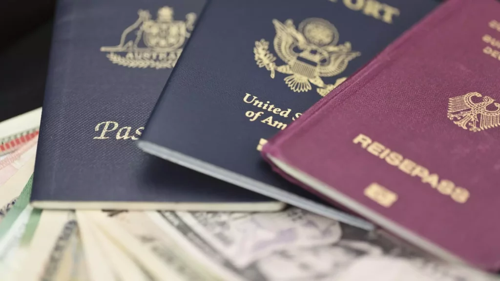 Understanding the Trend of American Passport Portfolios: A Diversification Strategy