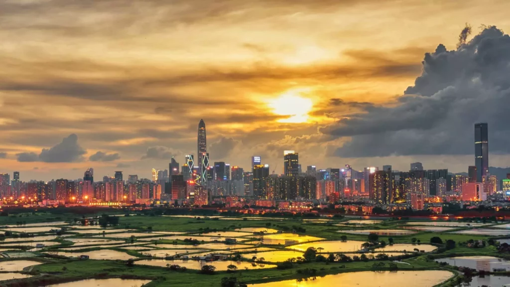 The Rise of Millionaires in Shenzhen: A Promising Future Ahead