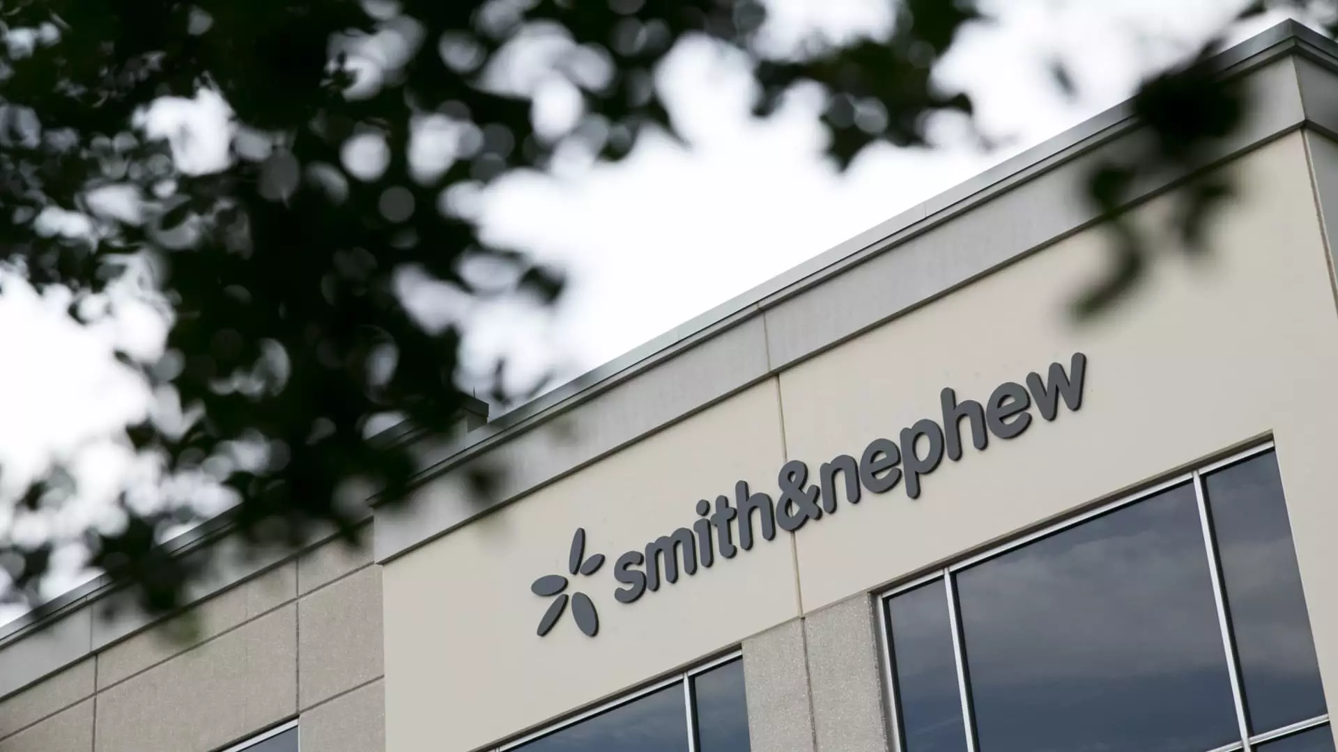 Cevian Capital’s Activism in Smith & Nephew: A Critical Analysis