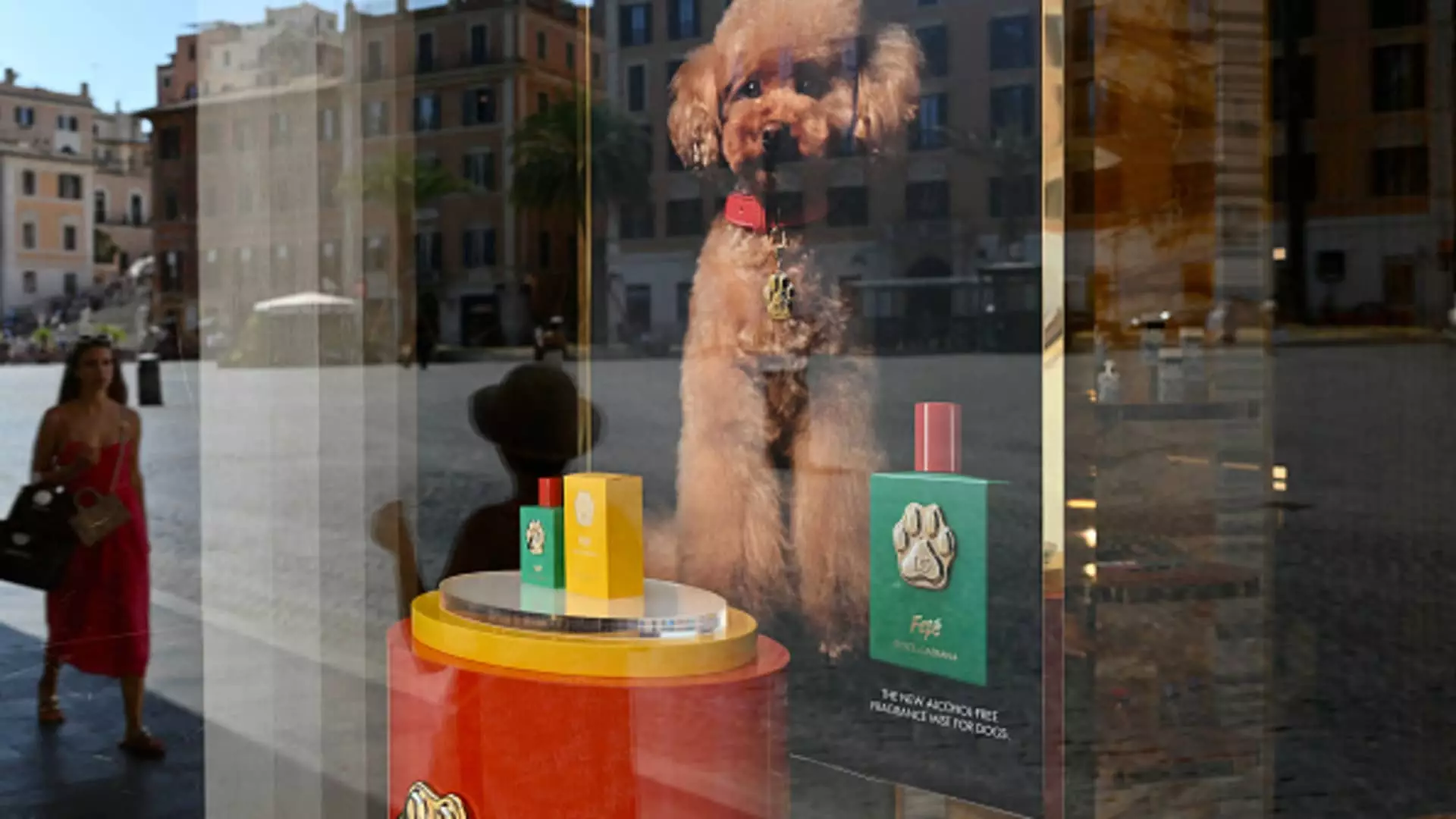 The Debate Over Dolce and Gabbana’s Luxury Perfume for Dogs