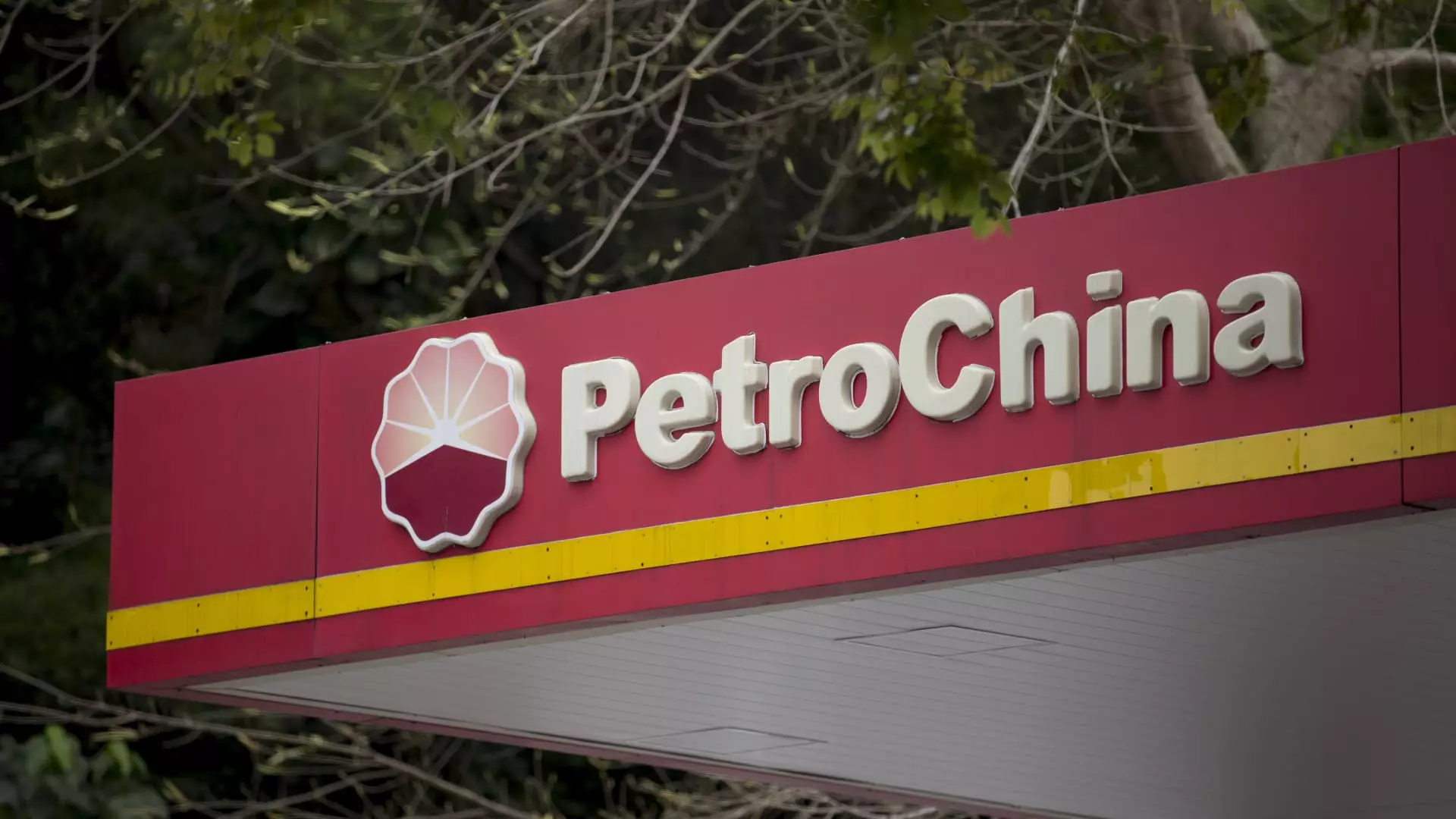 PetroChina’s Resilience: A Deep Dive into Their Record Profits