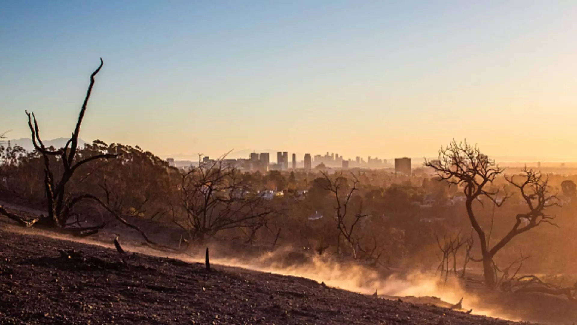 The Rising Tide of Home Insurance Premiums: Analyzing the Impact of Natural Disasters