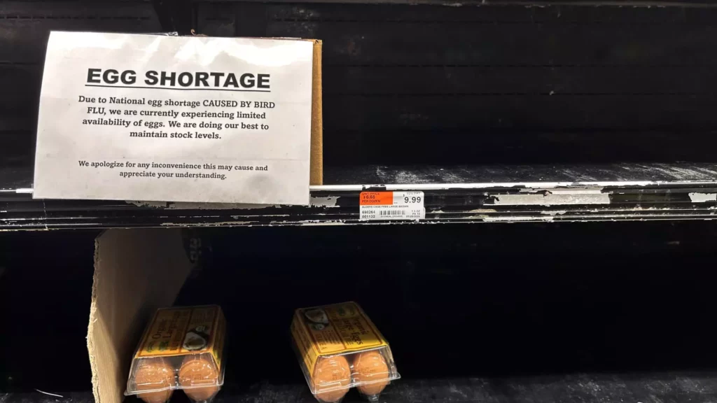 Egg Prices Surge 170%: The Hidden Economic Crisis Spanning 5 Years