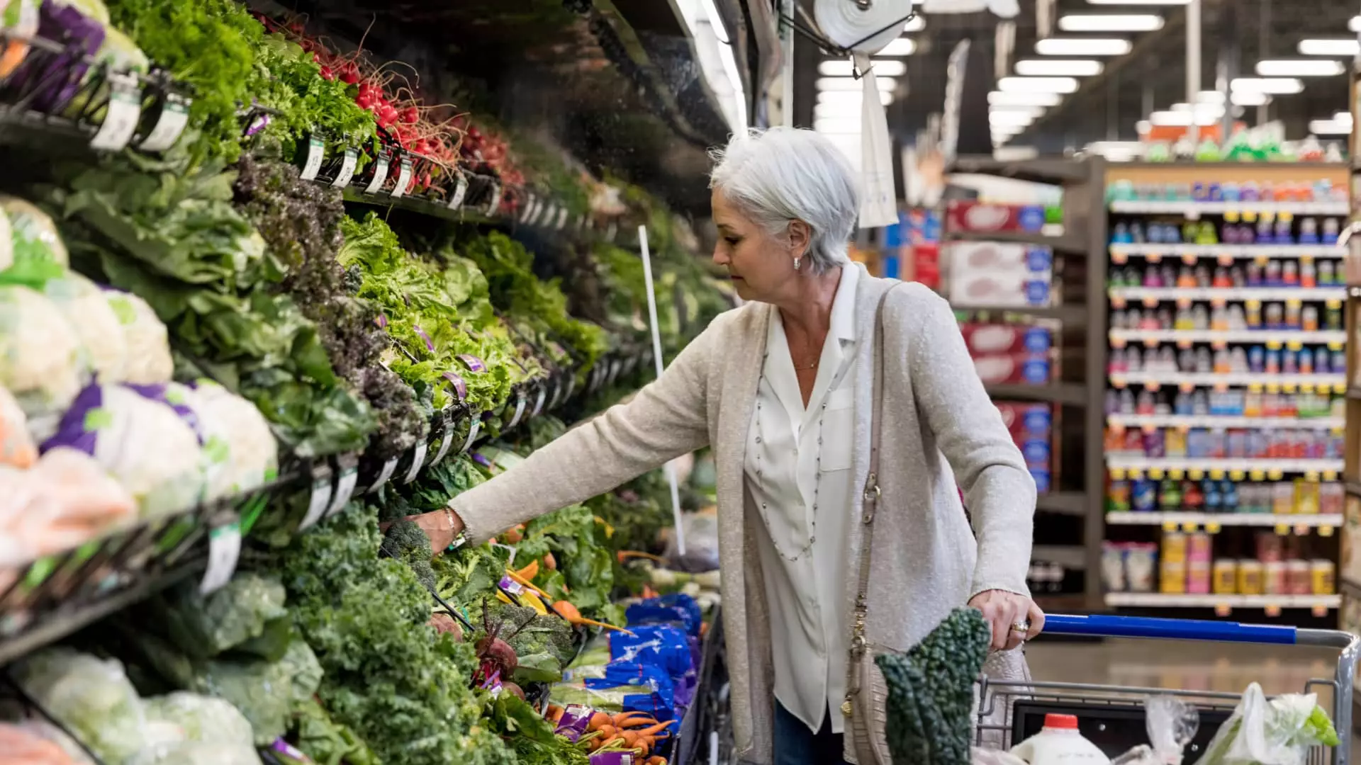 Critical Overview: The Flawed Safety Net of Social Security Adjustments