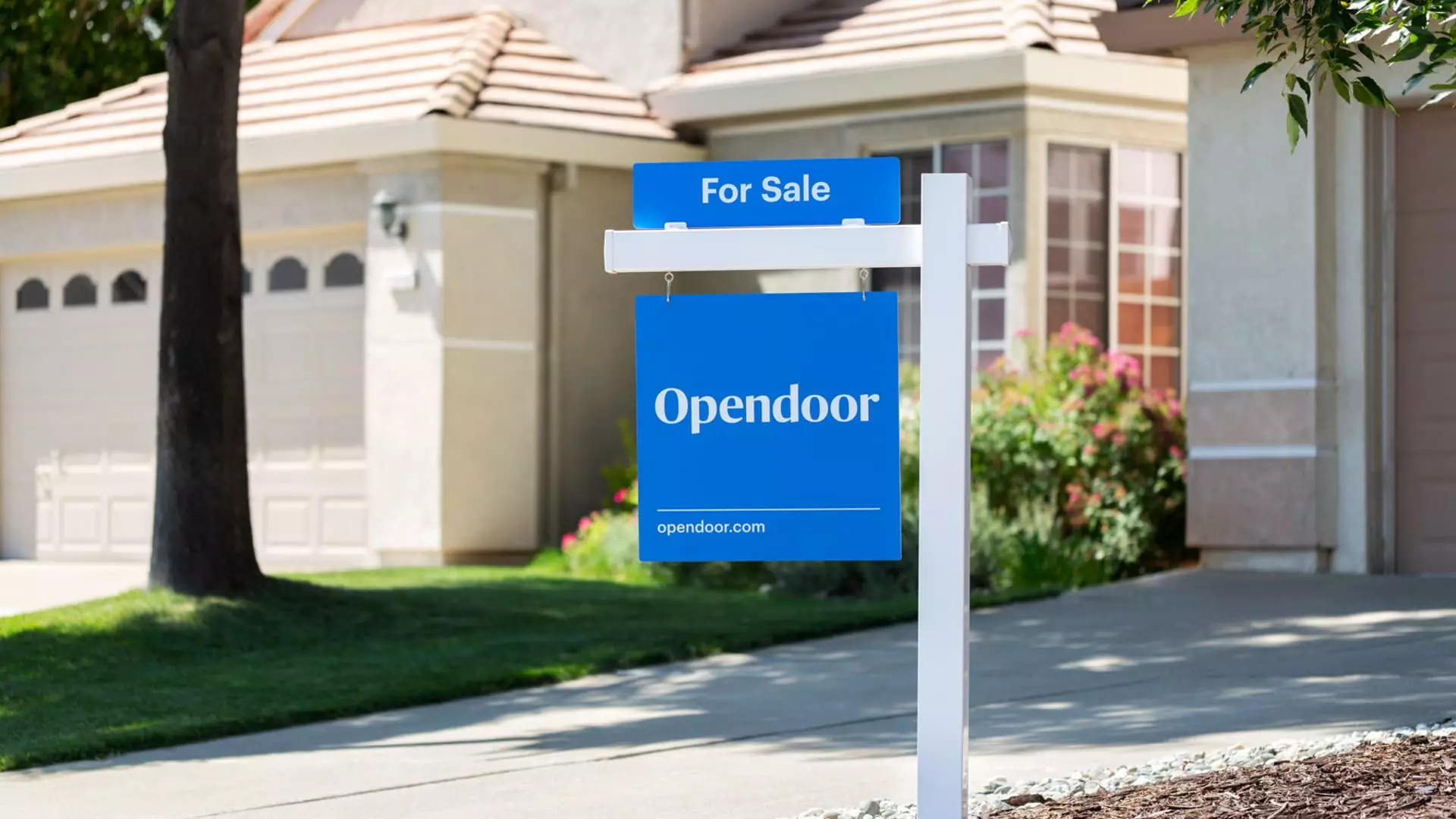 Opendoor’s Wild Ride: A Cautionary Tale of Speculation and Market Hysteria